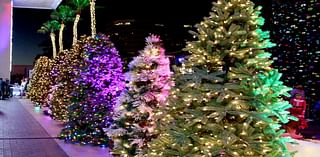 Where Are The Best Holiday Lights In Redondo Beach?