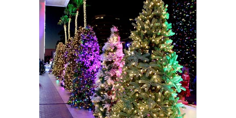 Where Are The Best Holiday Lights In Redondo Beach?