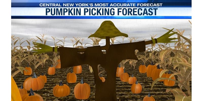 Sunday’s pumpkin picking and Pink concert forecast