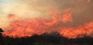 100 MPH Winds Trigger Red Flag Warning In LA County