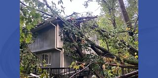 Sunday storms damage properties, knock down trees and power lines