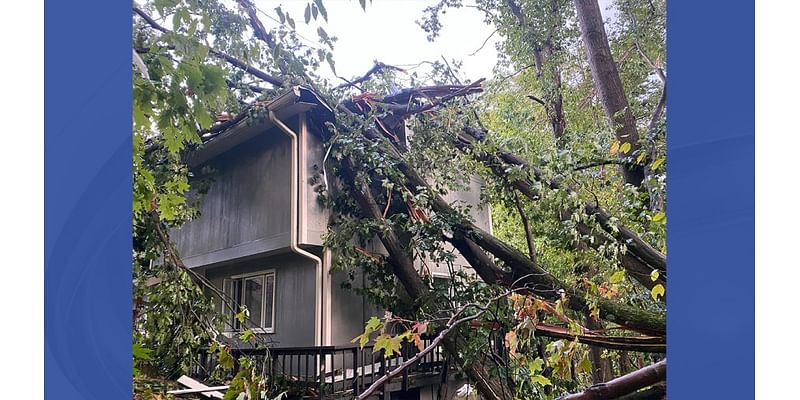 Sunday storms damage properties, knock down trees and power lines