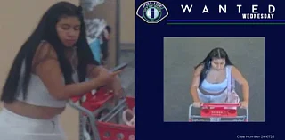 The Irvine Police are trying to identify a woman who tried to steal a cart full of merch from a Target store