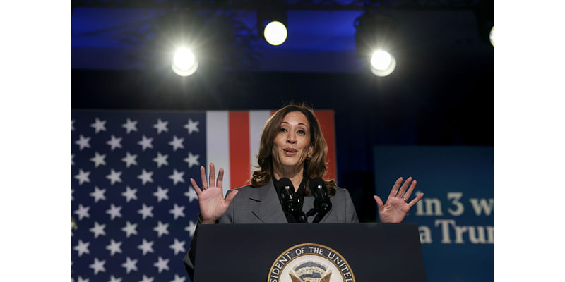 Kamala Harris' Chances of Beating Donald Trump in 7 Swing States: Poll