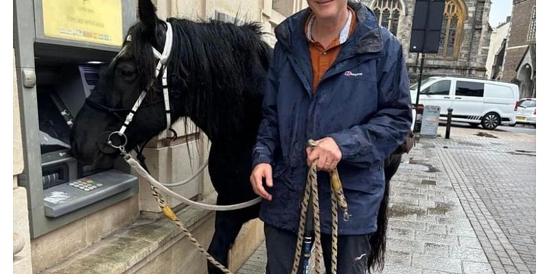 Why this dad’s walking across five cities with his pony