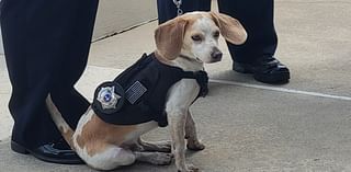 Indian River State College Welcomes K-9 Ofc. Graham to Campus Safety Team