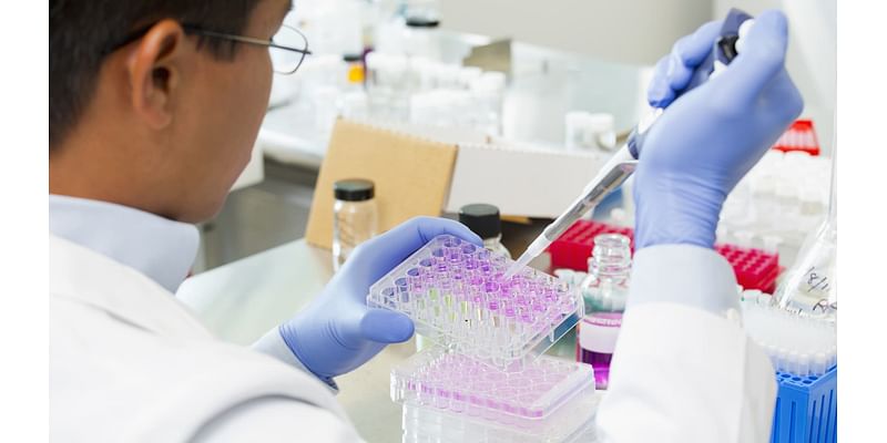 These 9 biotech stocks have doubled this year and are set to double again, analysts say