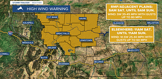 High Wind Warning for Veterans Day