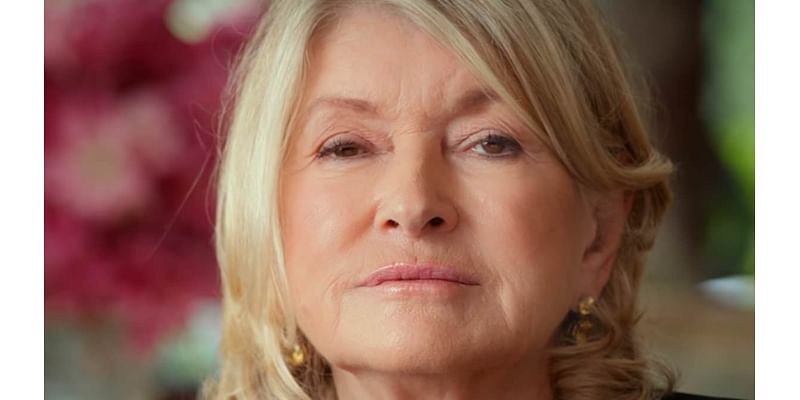 Martha Stewart's one line comeback about her affairs in new Netflix documentary goes viral as fans hail the 'savage' 83-year-old