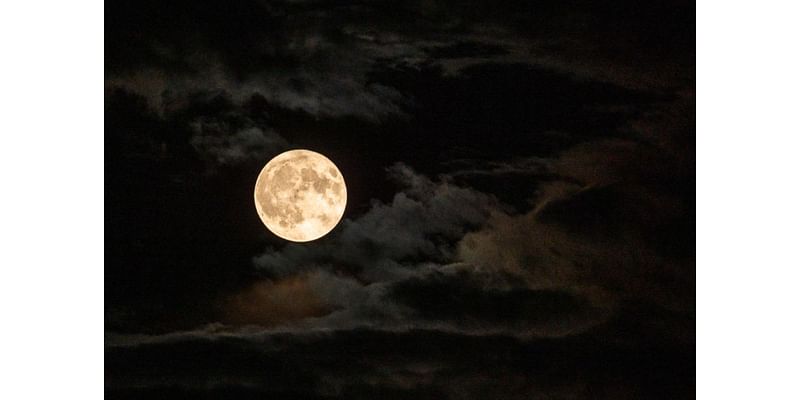 2024’s last supermoon rises this month. When can you see it?