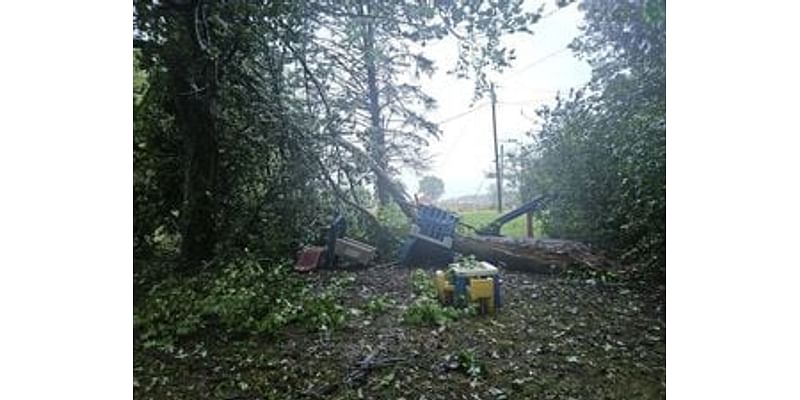 Some cities to provide brush cleanup services after storm