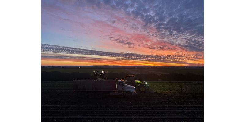 Top 10 sugarbeet safety reminders for this harvest season