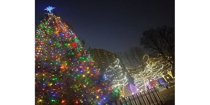 Get Your Christmas Lights Fix At This NJ Spot — Without Leaving The Car