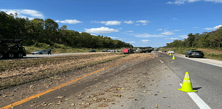 Chicken truck crash closes section of I-69