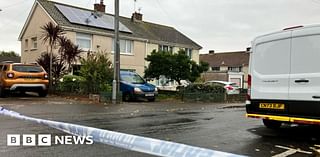 Trowbridge: Cardiff couple found shot in head at home