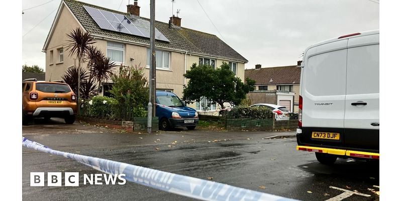 Trowbridge: Cardiff couple found shot in head at home