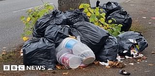 Birmingham residents concerned by 'poor' bin collection service