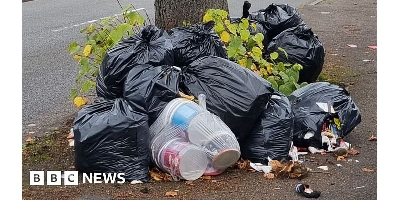 Birmingham residents concerned by 'poor' bin collection service