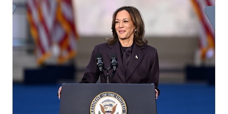 Harris says ‘we must accept' election results, commits to peaceful transfer of power