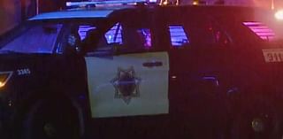 Pedestrian dies after being hit by a car in San Jose