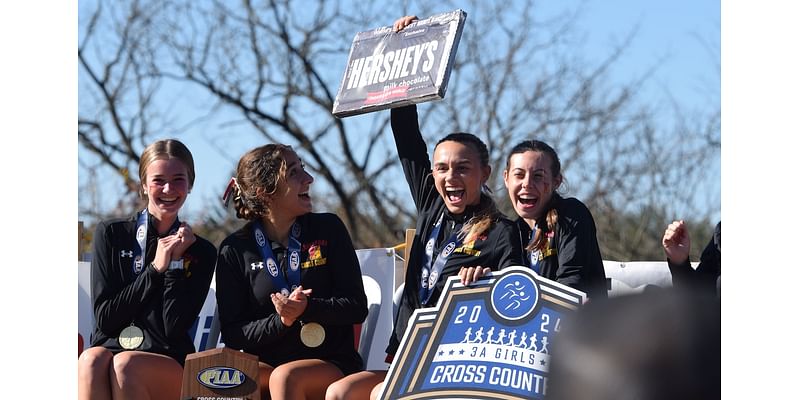 Carlisle’s Ana Bondy scores silver, Olivia Cieslak, Haverford end North Allegheny reign at PIAA Cross Country Championships