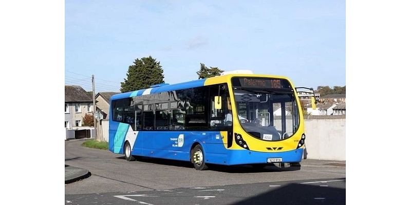 Vital Bus Connects service for Wicklow postponed yet again