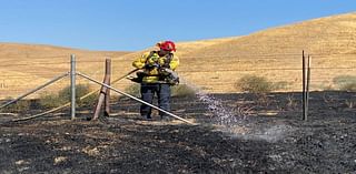 Fires in Shandon, San Miguel contained by firefighters Friday