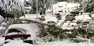 Reminisce on metro-area trees taking a beating during October 1997 snowstorm