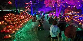 Massive Jack O'Lantern festival coming to the northern suburbs for Halloween