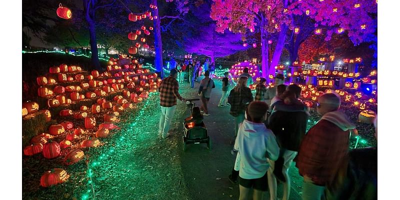 Massive Jack O'Lantern festival coming to the northern suburbs for Halloween