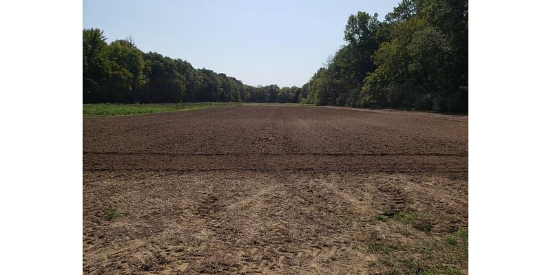 Mississippi hunters can still plant, replant deer food plots