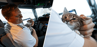 Southwest pilot adopts kitten midflight – NBC 5 Dallas