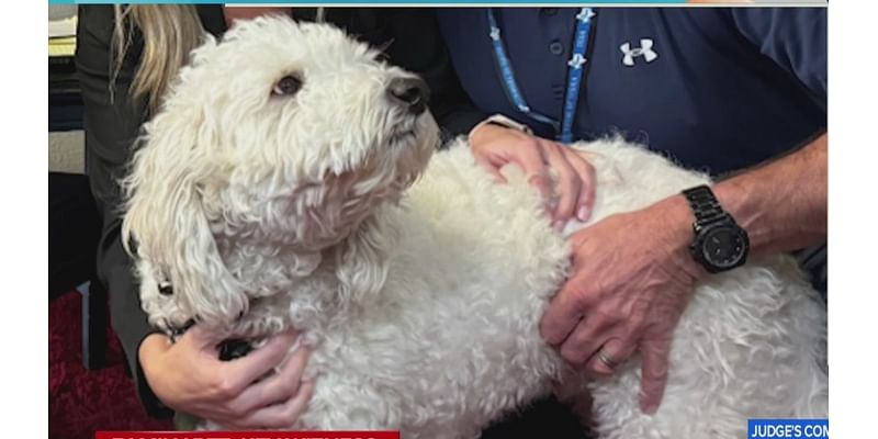 Titan the dog helps Texas police catch killer