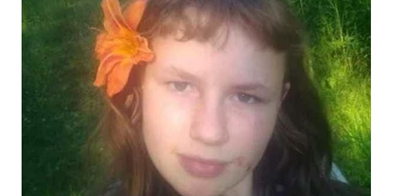 Mystery as teenage girl, 14, vanishes after wandering into woods