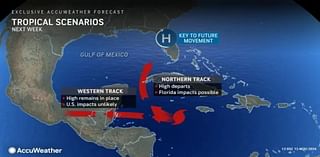 High chance Caribbean system will develop, hurricane center says