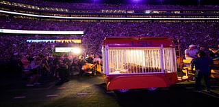 LSU fans throw debris on field during Alabama game after penalty