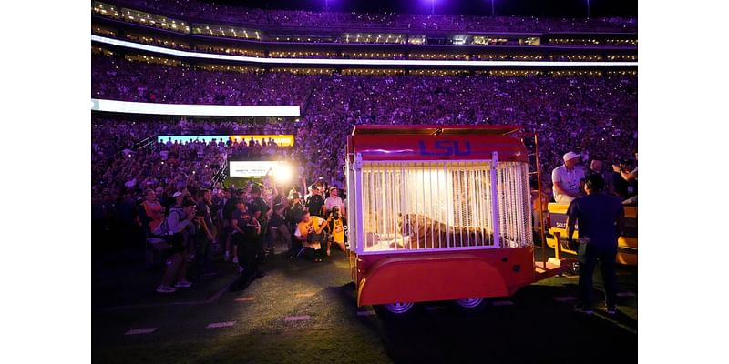 LSU fans throw debris on field during Alabama game after penalty