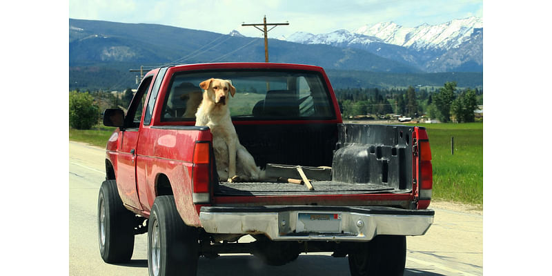 Understanding Extended Cab Vs. Crew Cab Pickup Trucks