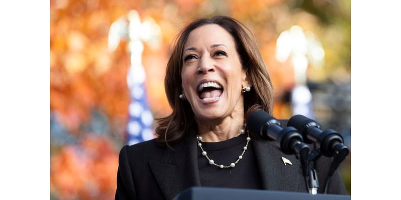 What Kamala Harris said about Trump when crowd chanted ‘lock him up’