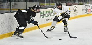 Duluth Marshall girls hockey joins with North Shore