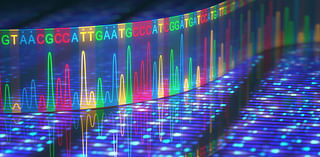 Ancient DNA Unveils 10,000 Years of Human History in Southern Africa