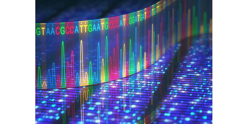 Ancient DNA Unveils 10,000 Years of Human History in Southern Africa