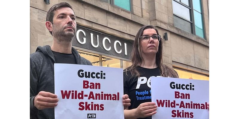 Animal rights activists stage protest as Gucci store opens in Edinburgh