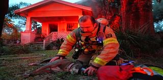 Dog, cats rescued from Tampa house fire