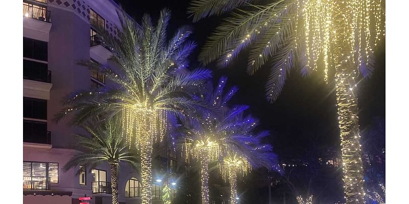 Celebrate Christmas in Florida