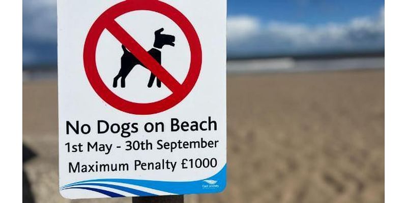 Beach dog ban renewed to preserve Blue Flag status