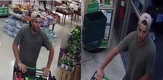 Thief wanted in Henry County for stealing $250 worth of merchandise from Publix