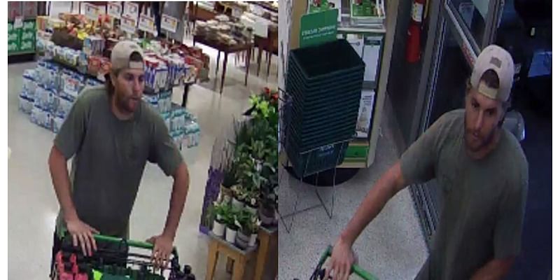 Thief wanted in Henry County for stealing $250 worth of merchandise from Publix