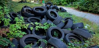 Tires dumped in north St. Louis lots reignite calls for crackdown on illegal dumping