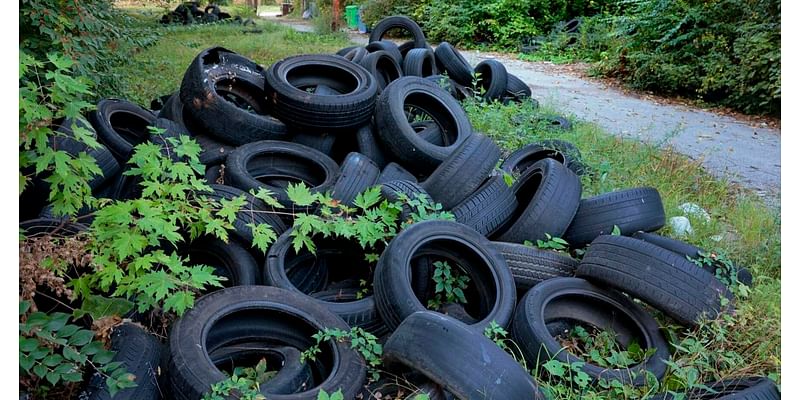 Tires dumped in north St. Louis lots reignite calls for crackdown on illegal dumping